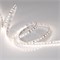 Лента RT 2-5000 24V 2X Day White (2835,600LED,PRO) 2000000244846 - фото 33038