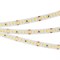Лента RT 2-5000 24V White 3x (2835, 840 LED, LUX) 2000000245010 - фото 33054