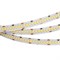 Лента RT 2-5000 24V Day4000 10mm (2835, 252 LED/m, LUX) (arlight, 10 Вт/м, IP20) 022651(1) - фото 33097
