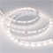 Лента RT 2-5000 24V Day White (2835, 300 LED, PRO) 2000000243580 - фото 33152