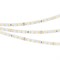 Лента RT 2-5000 24V 1.6X Warm2700 (2835, 490 LED, PRO) 2000000242217 - фото 33168