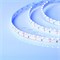 Лента RS 2-5000 12V Blue 2x (335, 600 LED) 2000000243467 - фото 33208