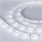 Лента ULTRA-5000 12V White (5630, 150 LED, LUX) 2000000245096 - фото 33247