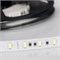 Лента ULTRA-5000 24V DayWhite 2X (5630,300LED,LUX) 2000000241463 - фото 33252