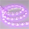 Лента RZ 2-5000 12V Pink 2X (5060, 240 LED, 180) 2000000242644 - фото 33496