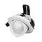Светильник LTD-EXPLORER-R100-12W Day4000 (WH, 38 deg) (Arlight, IP20 Металл, 3 года) 024027 - фото 33585