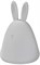 NIGHTLUX RABBIT TOUCH USB RGBW  2.5W  20Lm  RGB+3000K  USB - ночник LEDV 4058075602113 - фото 35640