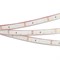 Лента RTW 2-5000PGS 12V Cool (3528, 300 LED, LUX) (arlight, 4.8 Вт/м, IP67) 016839 - фото 41730