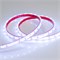 Лента RTW 2-5000PGS 12V Cool (3528, 300 LED, LUX) (arlight, 4.8 Вт/м, IP67) 016839 - фото 41732