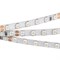 Лента RT 2-5000 24V Blue 5mm 2x (3528, 600 LED, LUX) (arlight, 9.6 Вт/м, IP20) 015660(1) - фото 41867