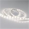 Лента RTW 2-5000SE 12V Day (3528, 300 LED, LUX) (arlight, 4.8 Вт/м, IP65) 015447(B) - фото 41953