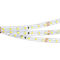 Лента RT 2-5000 24V 1.6X Warm2700 (2835, 490 LED, PRO) 2000000242217 - фото 42181