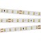 Лента RT 2-5000 24V 1.6X Warm2700 (2835, 490 LED, PRO) 2000000242217 - фото 42182