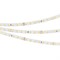 Лента RT 2-5000 24V Day4000 1.6x (2835, 490 LED, PRO) (arlight, 10 Вт/м, IP20) 019914(B) - фото 42337