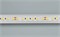 Лента RT 6-5050-96 24V Warm2700 3x (480 LED) (arlight, 23 Вт/м, IP20) 017425 - фото 42408