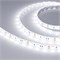 Лента RTW 2-5000SE 12V White 2x (5060, 300 LED, LUX) (arlight, 14.4 Вт/м, IP65) 014636(B) - фото 42440