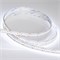 Лента RT6-3528-240 24V White6000 4x (1200 LED) (arlight, 19.2 Вт/м, IP20) 017430 - фото 42473