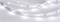 Лента RT 2-5000 24V White6000 0.5x (3528, 150 LED, LUX) (arlight, 2.9 Вт/м, IP20) 019917 - фото 42510
