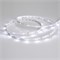 Лента RT 2-5000 24V White6000 0.5x (3528, 150 LED, LUX) (arlight, 2.9 Вт/м, IP20) 019917 - фото 42513