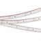 Лента RTW 2-5000P 12V Green (3528, 300 LED, LUX) (arlight, 4.8 Вт/м, IP66) 014965 - фото 42902