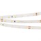 Лента RT 2-5000 24V Warm3000 (2835, 300 LED, PRO) (arlight, 7.2 Вт/м, IP20, 5m) 020014(B) - фото 42948