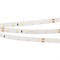 Лента RT 2-5000 24V Warm3000 (2835, 300 LED, PRO) (arlight, 7.2 Вт/м, IP20, 5m) 020014(B) - фото 42955