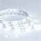 Лента RTW 2-5000SE 12V Cool (5060, 150 LED, LUX) (arlight, 7.2 Вт/м, IP65) 016834 - фото 43220