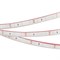 Лента RTW 2-5000PGS 12V Red (3528, 300 LED, LUX) (arlight, 4.8 Вт/м, IP67) 013394 - фото 43581