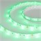 Лента RTW 2-5000SE 12V Green (5060, 150 LED, LUX) (arlight, 7.2 Вт/м, IP65) 016508 - фото 44131