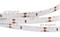Лента RS6-335-60 12V Red (300LED) 2000000245119 - фото 44161