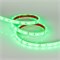 Лента RTW 2-5000PGS 12V Green (3528, 300 LED, LUX) (arlight, 4.8 Вт/м, IP67) 013395 - фото 44571