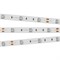 Лента RT 2-5000 12V Blue (5060, 150 LED, LUX) (arlight, 7.2 Вт/м, IP20) 010592 - фото 44934