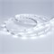 Лента RT 2-5000 24V Cool 8K 0.5x (3528, 150 LED, LUX) (arlight, 2.9 Вт/м, IP20) 019916 - фото 45063