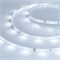 Лента RT 2-5000 24V Cool 8K 0.5x (3528, 150 LED, LUX) (arlight, 2.9 Вт/м, IP20) 019916 - фото 45066