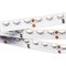 Лента RS 2-5000 24V Red 2x (335, 600 LED) (arlight, 9.6 Вт/м, IP20) 011670 - фото 45166