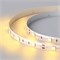 Лента RTW 2-5000SE 12V Yellow (5060, 150 LED, LUX) (arlight, 7.2 Вт/м, IP65) 016509 - фото 45228