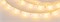 Лента RTW 2-5000SE 12V Yellow (5060, 150 LED, LUX) (arlight, 7.2 Вт/м, IP65) 016509 - фото 45229