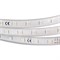 Лента ARL-W5060PG-54-220V Green (540 LED, 10m) 020453 - фото 45285