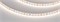 Светодиодная лента RT-A120-8mm 24V Day4000 (9.6 W/m, IP20, 2835, 5m) (Arlight, Открытый) 011581(2) - фото 45314