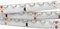 Лента RSW 2-5000SE 24V White 2x (335, 600 LED, LUX) 2000000245102 - фото 45643