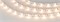 Лента RZ 2-5000 12V Warm2700 2x (5060, 240 LED, Wave) (arlight, 11.5 Вт/м, IP20) 018210 - фото 45671
