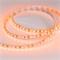 Лента RT 2-5000 12V Orange 2X (3528, 600 LED, LUX) (arlight, 9.6 Вт/м, IP20) 015902 - фото 45960