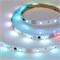 Лента SPI-5000-AM 12V RGB (5060, 150 LED x3, 1804) (arlight, Открытый, IP20) 021227 - фото 46229
