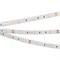 Лента RTW 2-5000SE 12V Blue (5060, 150 LED, LUX) (arlight, 7.2 Вт/м, IP65) 015135(1) - фото 46267