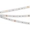 Лента RTW 2-5000SE 12V Blue (5060, 150 LED, LUX) (arlight, 7.2 Вт/м, IP65) 015135(1) - фото 46271