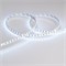 Лента RT 2-5000 24V RGB 8mm (3838, 120 LED/m, LUX) (arlight, 11 Вт/м, IP20) 026832-1 - фото 50309