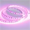 Лента RT 2-5000 12V Pink 2X (3528, 600 LED, LUX) (arlight, 9.6 Вт/м, IP20) 015897(2) - фото 50411