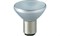 Лампа AlUline Pro 20W 12V 6434 FR GBE R37 BA15d 18° PHILIPS - 40937960 - фото 51468