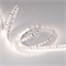 Лента RT 2-5000 24V Day4000 2x (2835, 600 LED, PRO) (arlight, 14.4 Вт/м, IP20) 015698(B) - фото 52438