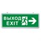Светильник аварийный светодиодный ВЫХОД EXIT Направление движения двухсторонний 5вт 1.5ч постоянный LED IP20 (EL55) 32551-1 - фото 57464